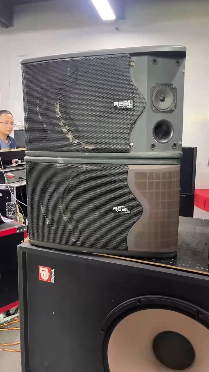 不包邮 10寸卡包音响 KTV音箱一对 缺网罩 低音不一样