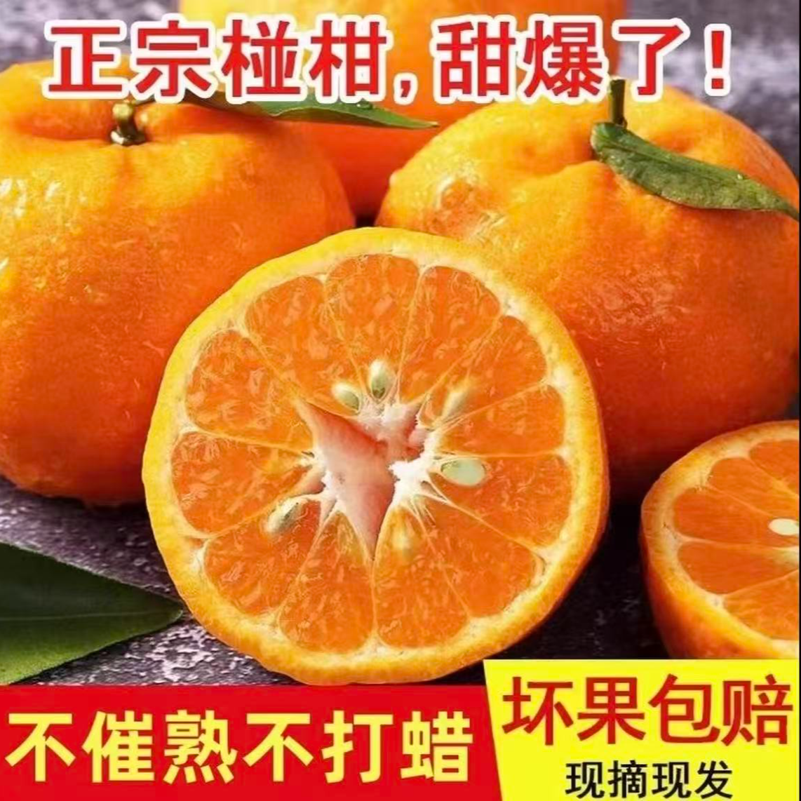 正宗四川碰柑耙耙柑丑柑丑橘天然新鲜水果应季产地现摘现发XM