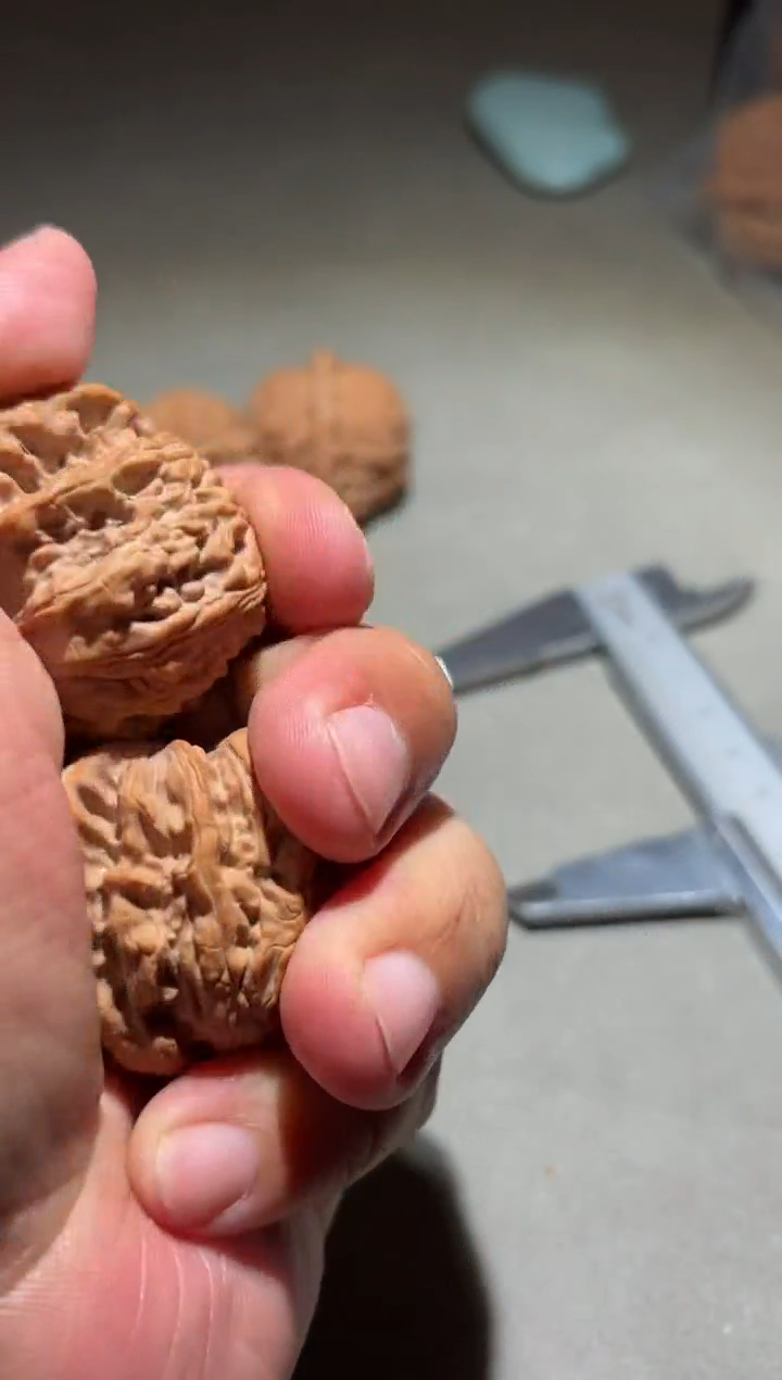 吊坠桃核?****?白狮子