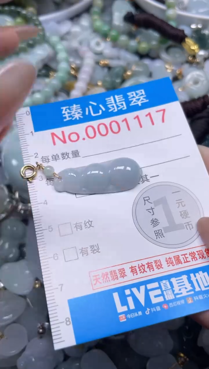 颈饰未镶嵌翡翠1117