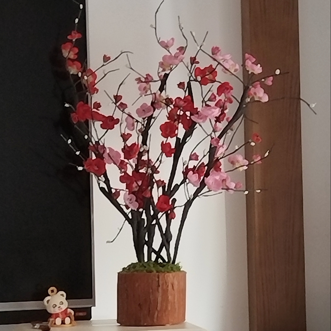 实木花盆手工制作多肉石斛纯实木适合办公桌适合原木花盆木头花盆