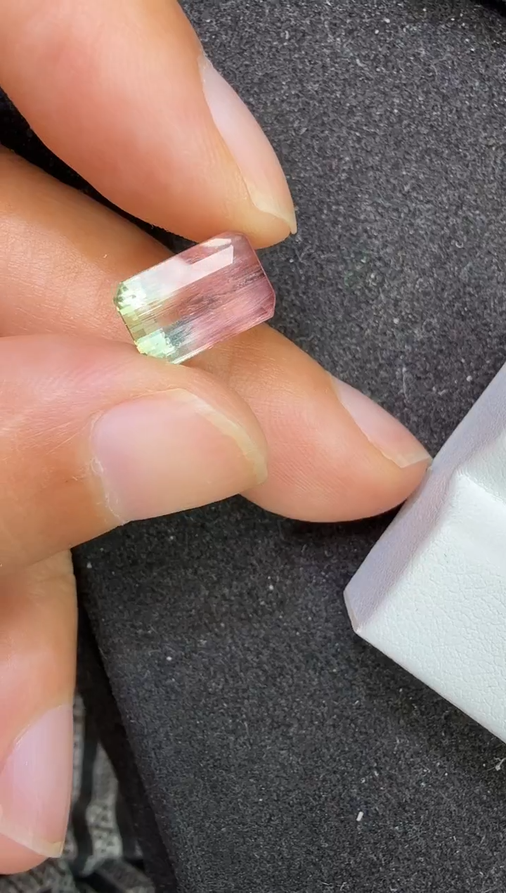 未镶嵌定制定制碧玺马*马天然3.88克拉