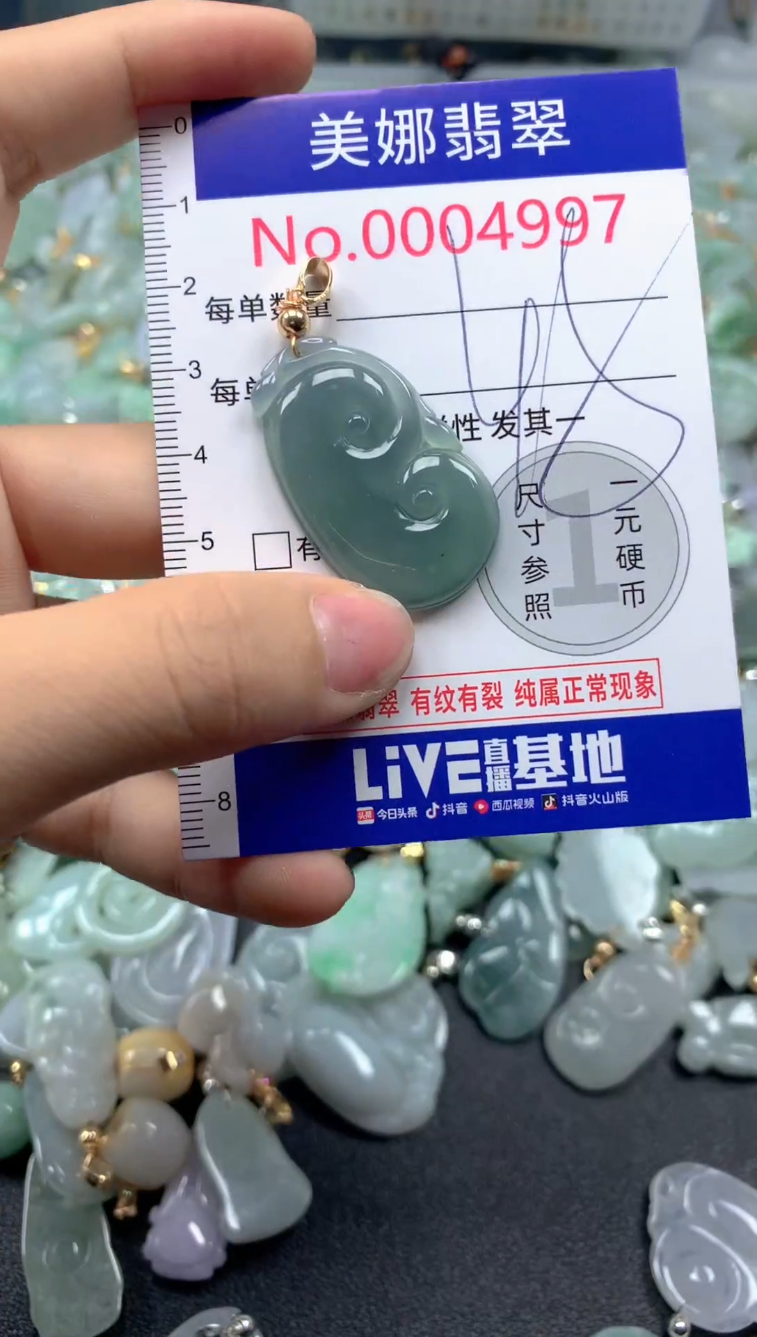 颈饰未镶嵌翡翠4997