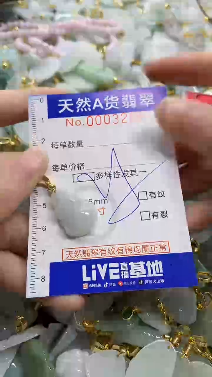 颈饰未镶嵌翡翠天然A货翡翠