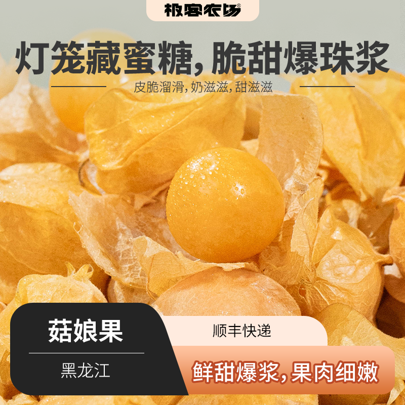 菇娘果 鲜甜爆浆 果肉细腻 皮脆溜滑 奶滋滋 甜滋滋 顺丰 750g