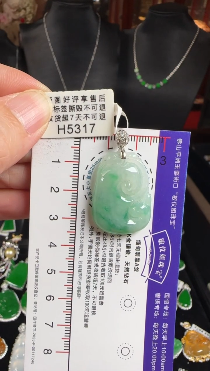 颈饰未镶嵌翡翠H5317如意
