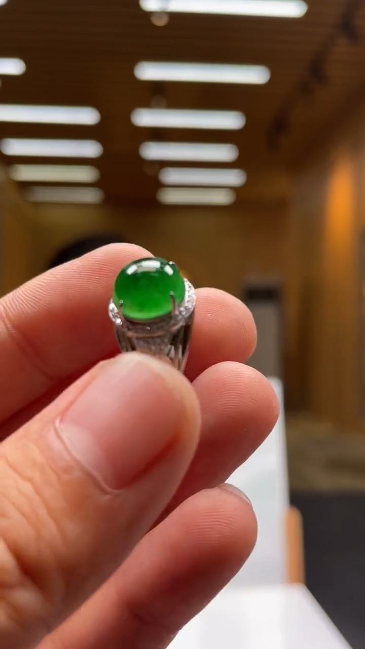 【闪购商品】翡翠未镶嵌颈饰**********630