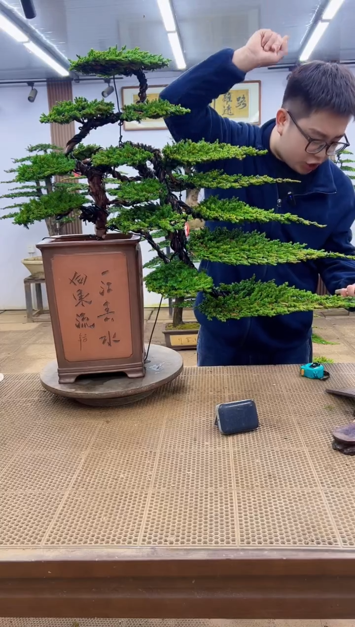 无花朵00000000000000