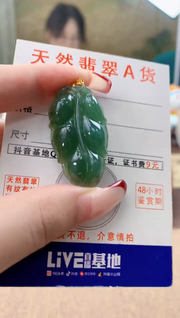 颈饰未镶嵌翡翠天然A货翡翠挂件