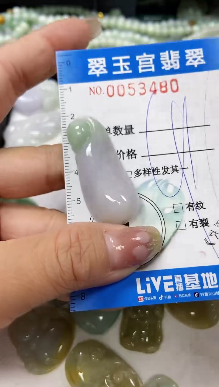 【闪购商品】翡翠颈饰未镶嵌闪购0053480