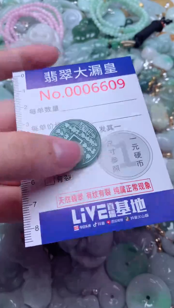 翡翠未镶嵌吊坠(不含链)6609