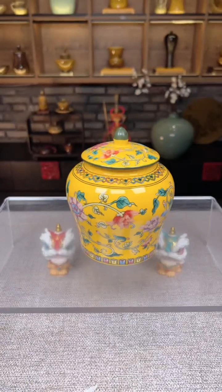 【闪购商品】无尽藏 专属福利单 VVV 