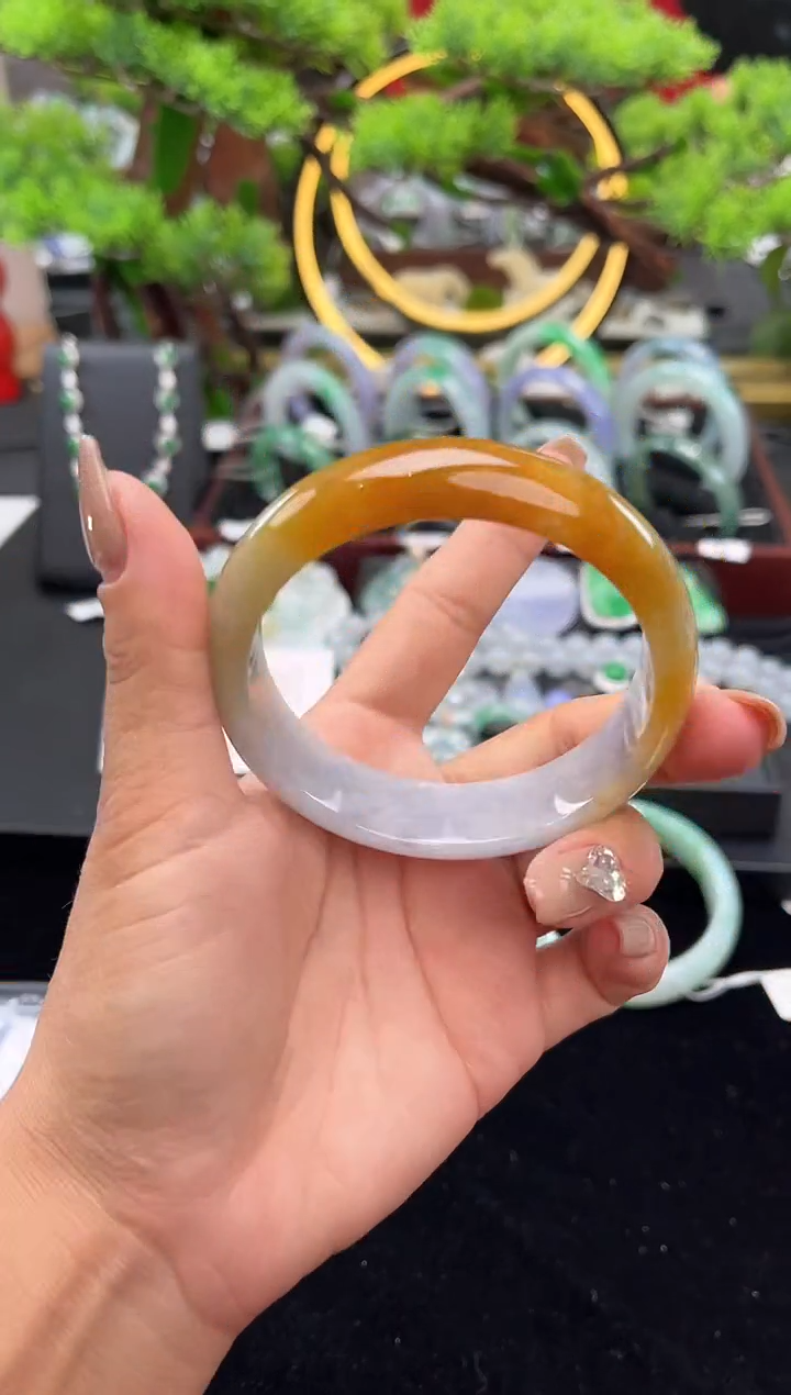 未镶嵌手镯翡翠手镯