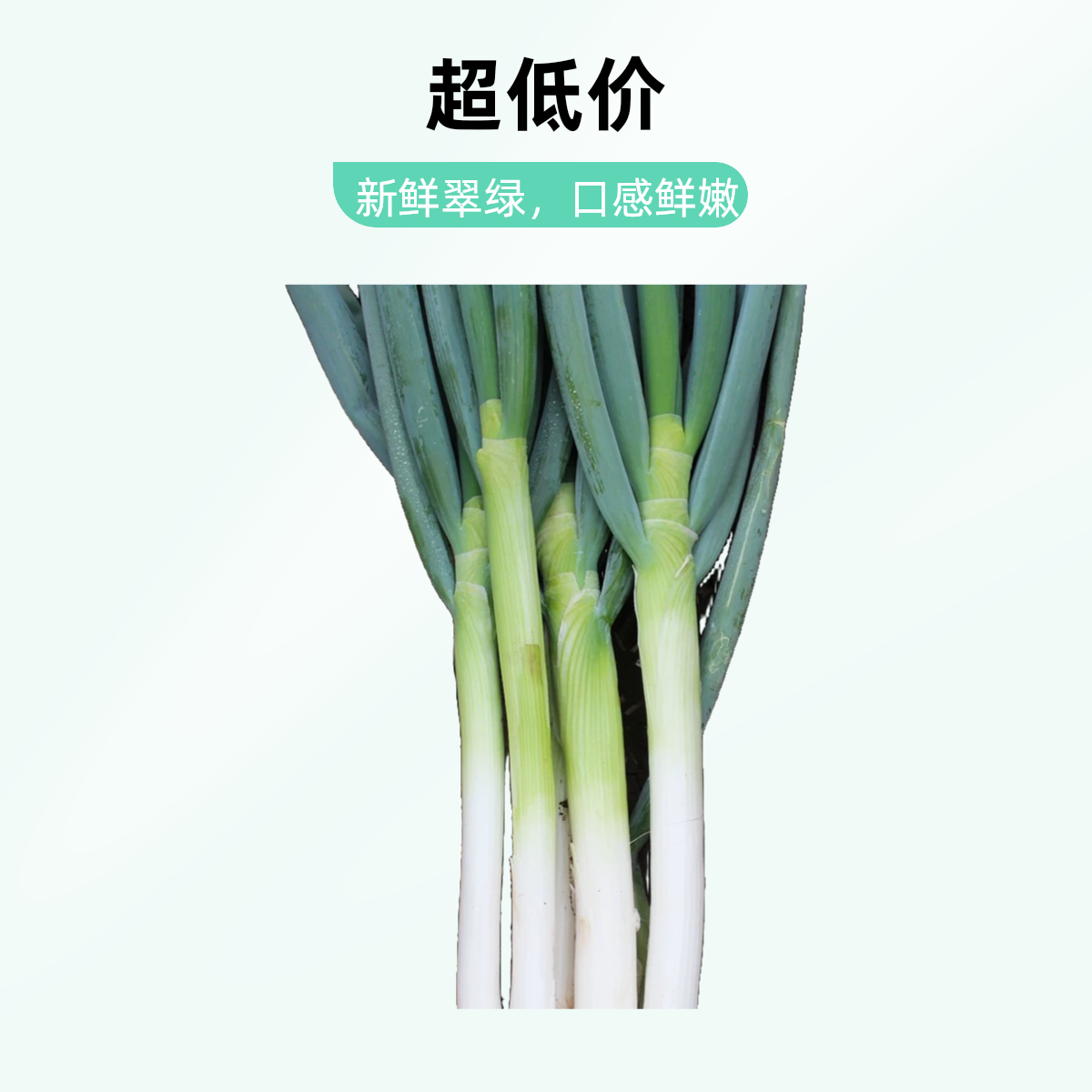 新鲜大葱300g京东包邮次日达大葱大葱