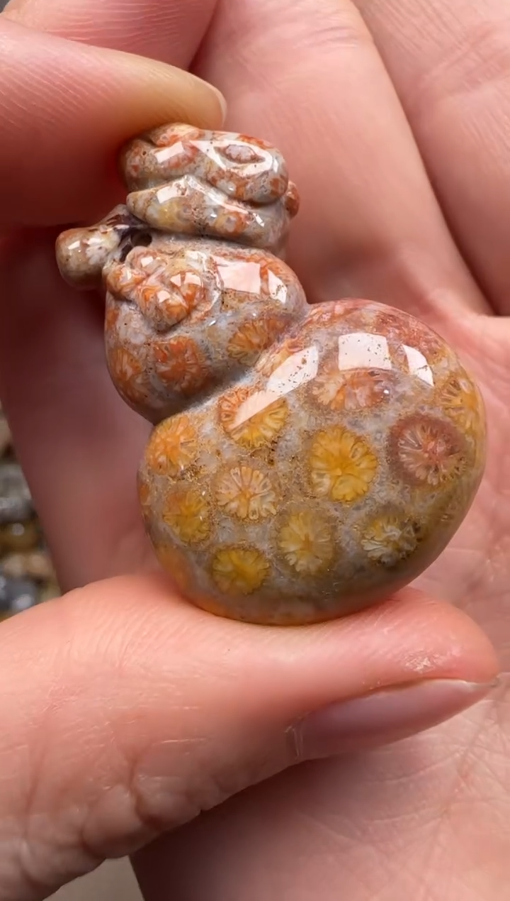 【闪购商品】硅化珊瑚（珊瑚玉）颈饰未镶嵌079