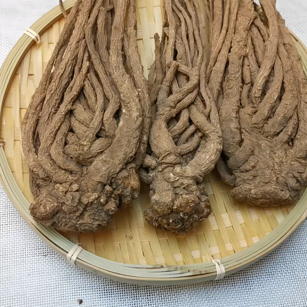 甘肃岷县当归整根自然晒干深山干货煲汤泡酒无加工中药材