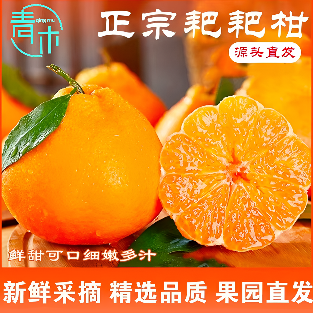 橙舍【果园直发】春见耙耙柑新鲜水果应季现摘彩箱