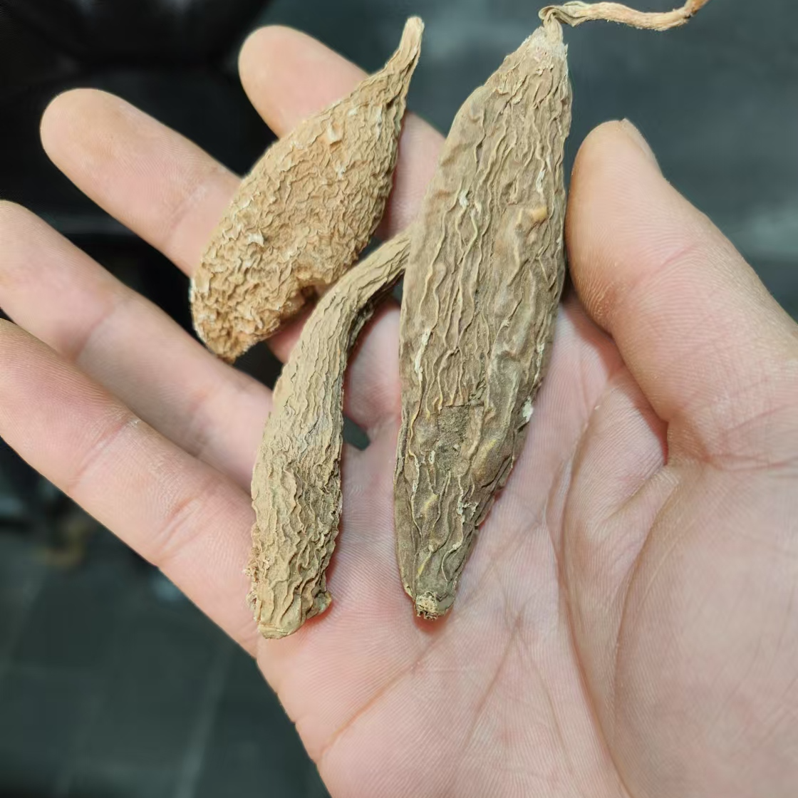 1【安-胃-丹-菇】净含量250g-1500g【阿徐现收】