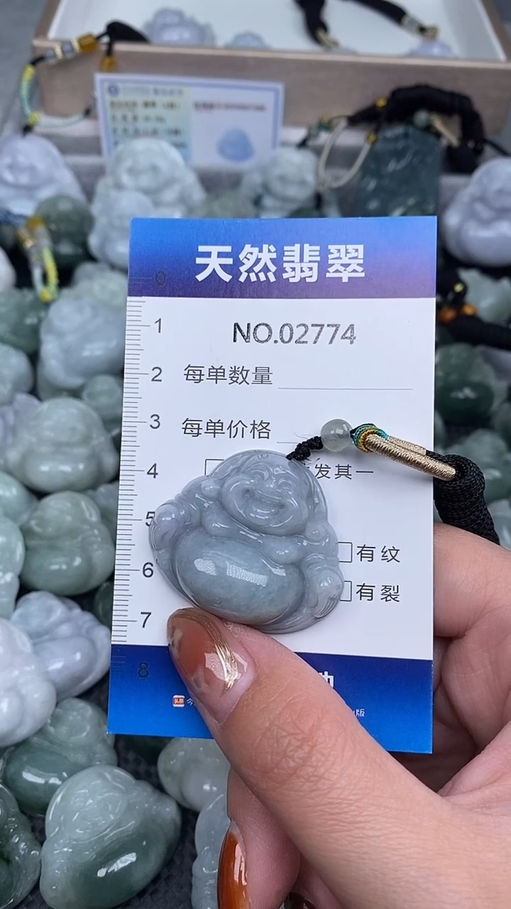 颈饰未镶嵌翡翠纯天然A货翡翠2774