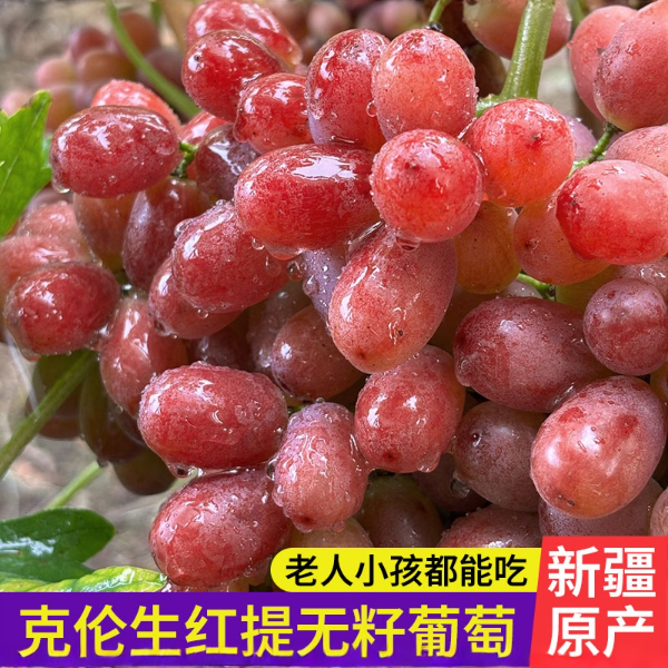 E3【顺丰明日达】新疆八十五兵团“克伦生无籽红提”脆甜新鲜当季水果绿色证书A级认证新疆维吾尔自治区