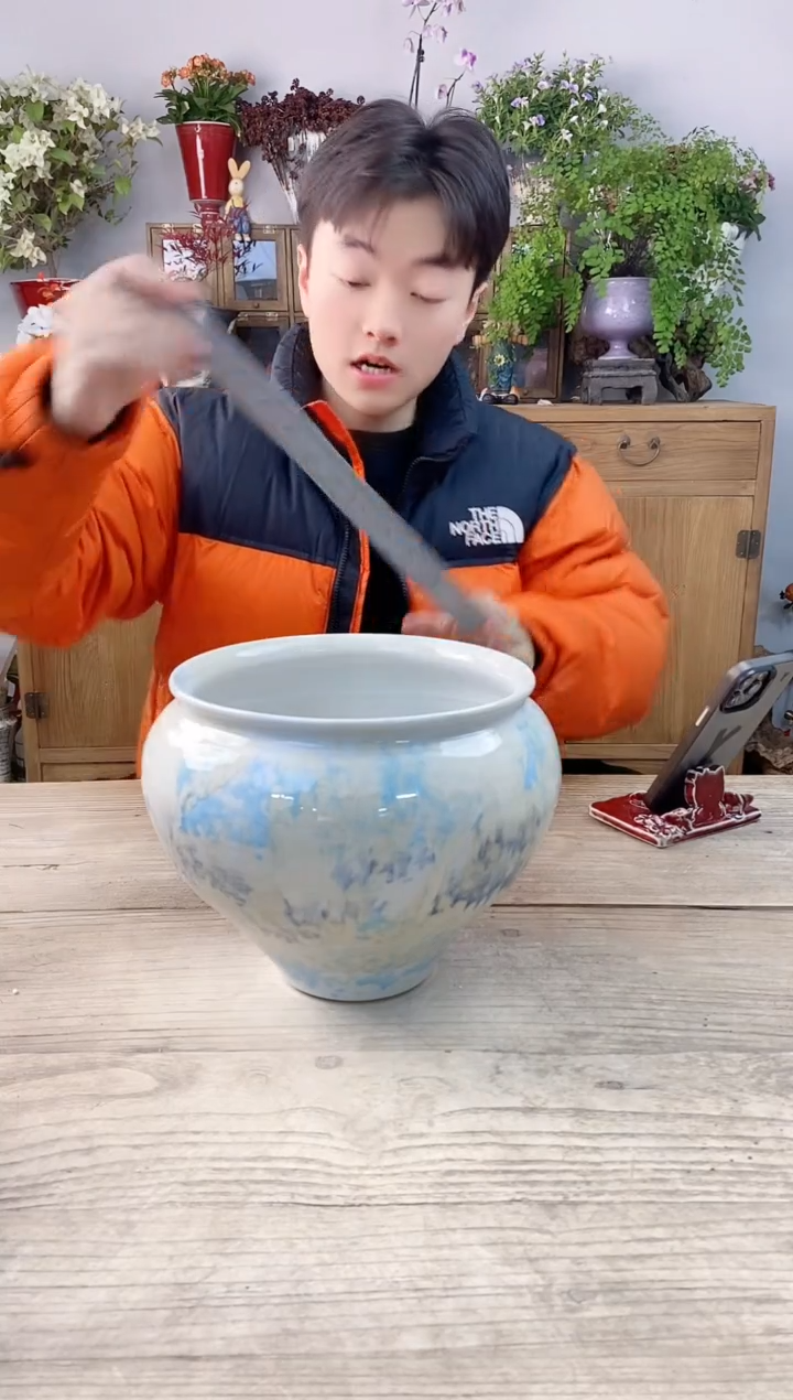 小玩子花盆直播号470