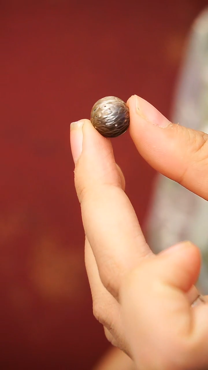 未镶嵌海水珍珠颈饰A18