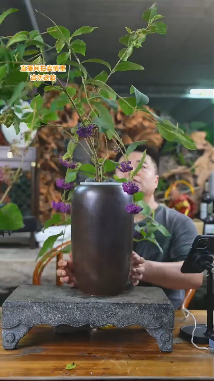 完全开放紫珠140+