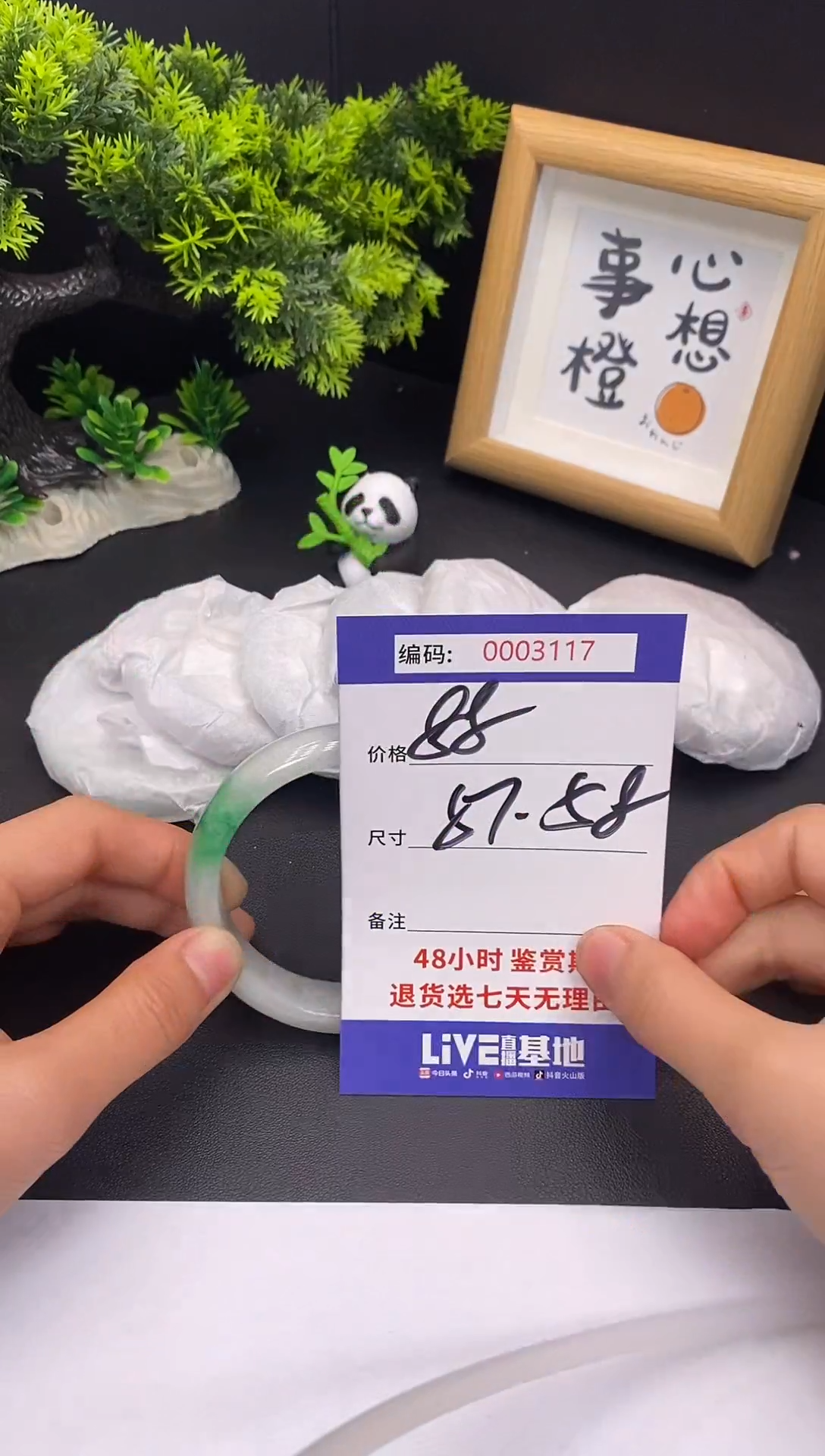 未镶嵌手镯翡翠0003117