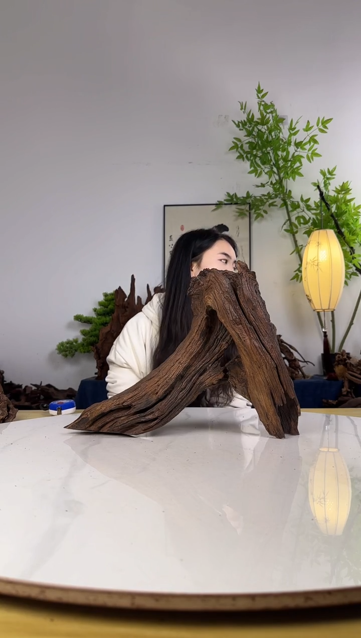 大*拍沉木定向链接编号20