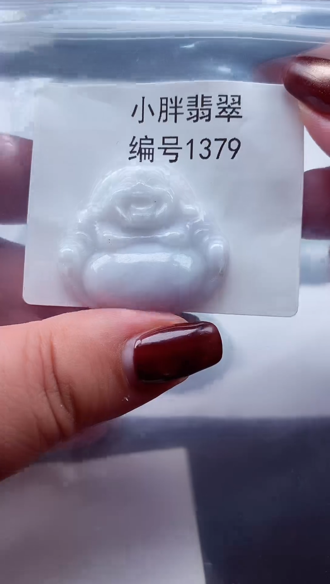 颈饰未镶嵌翡翠缅甸天然A货翡翠1379