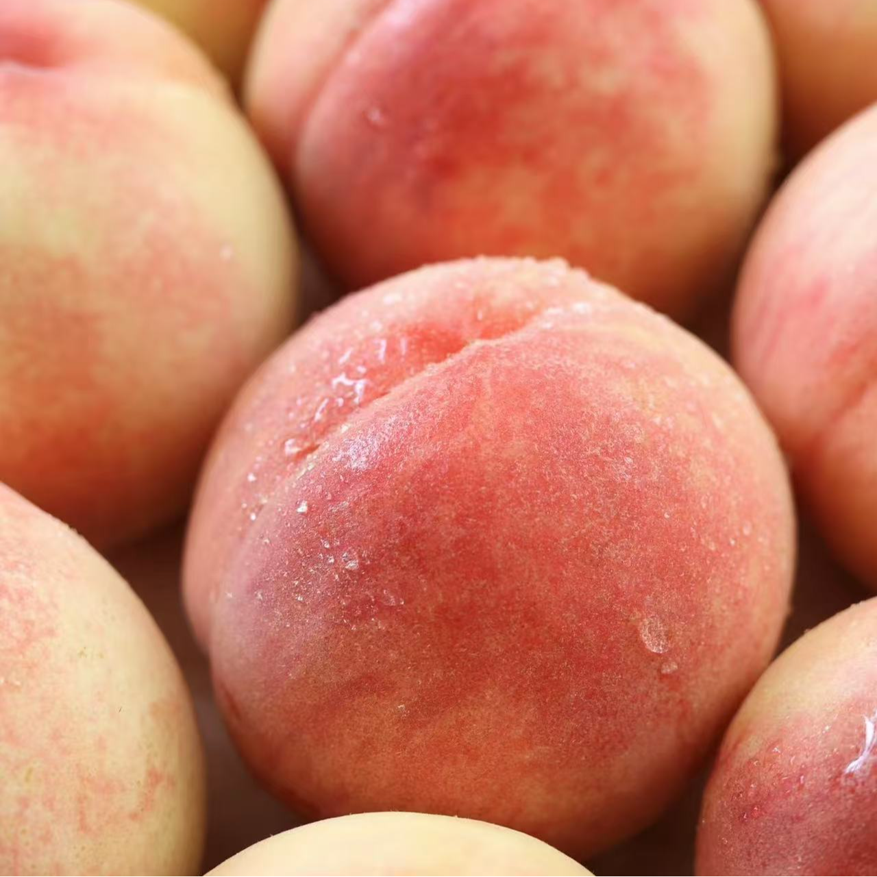 C【顺丰包邮】【好吃推荐】3-4两/4-5两（8只装/箱）正宗无锡阳山水蜜桃礼盒包装到手约3-8斤江苏省