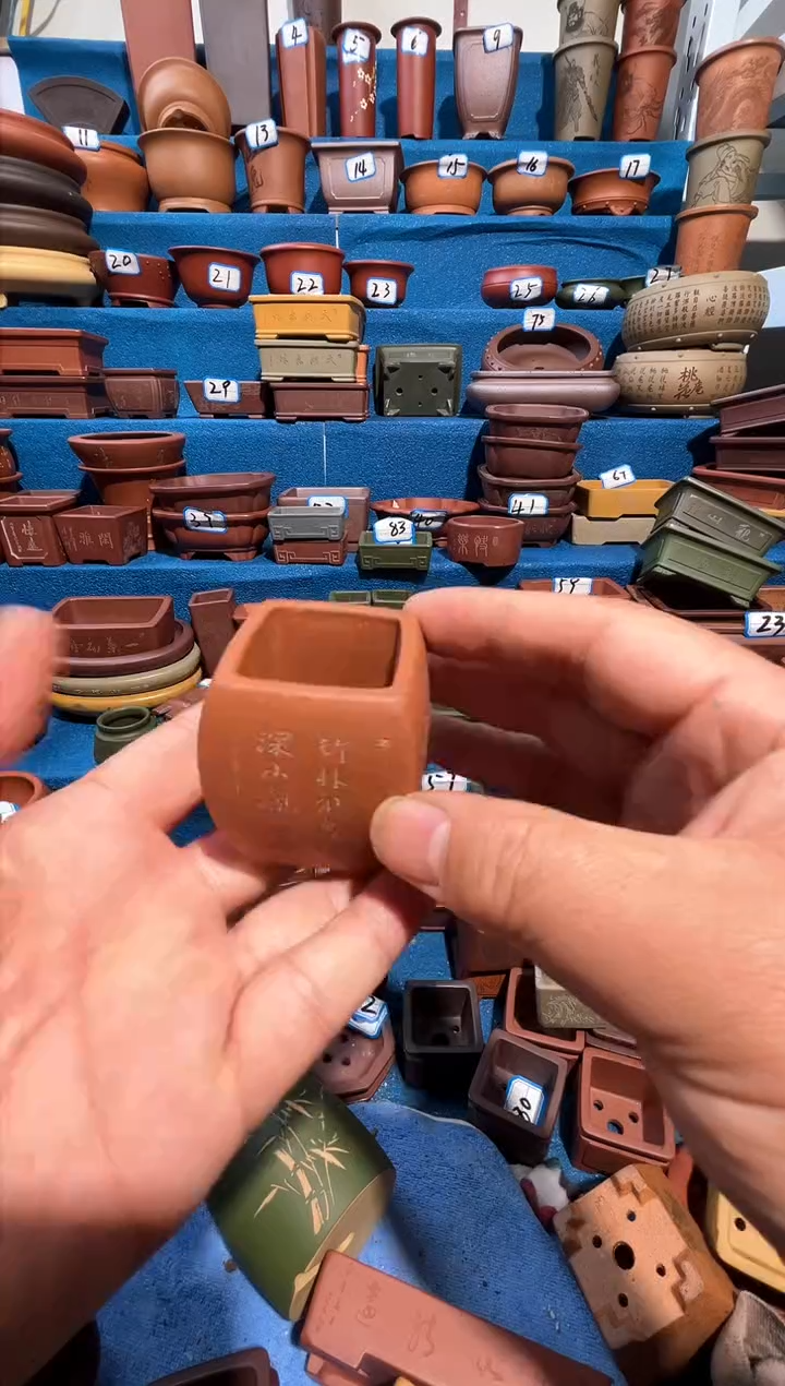 【闪购商品】紫砂紫砂花盆3.5*5