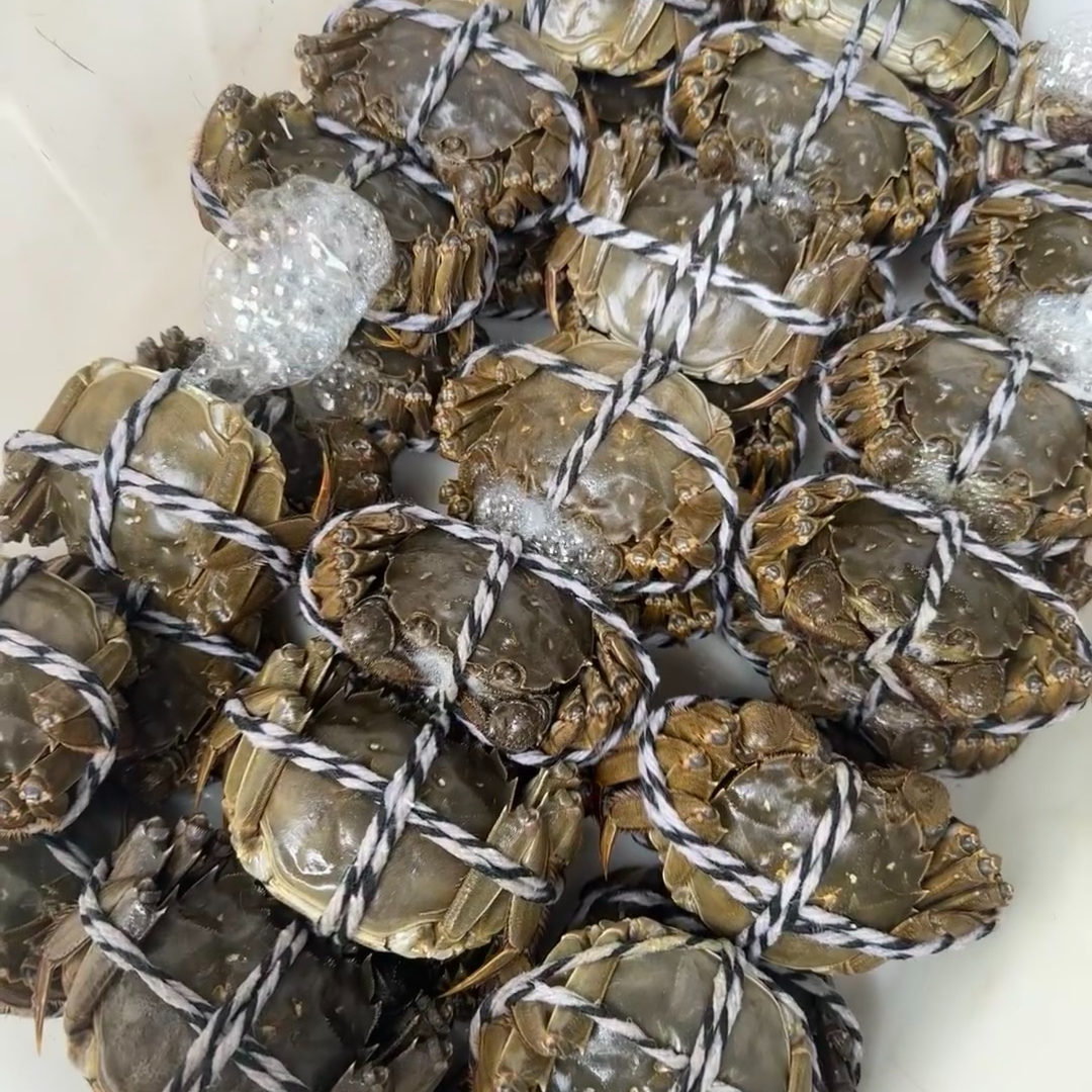 【精品六月黄20只】鲜活现捞香辣蟹顺丰冷链发货