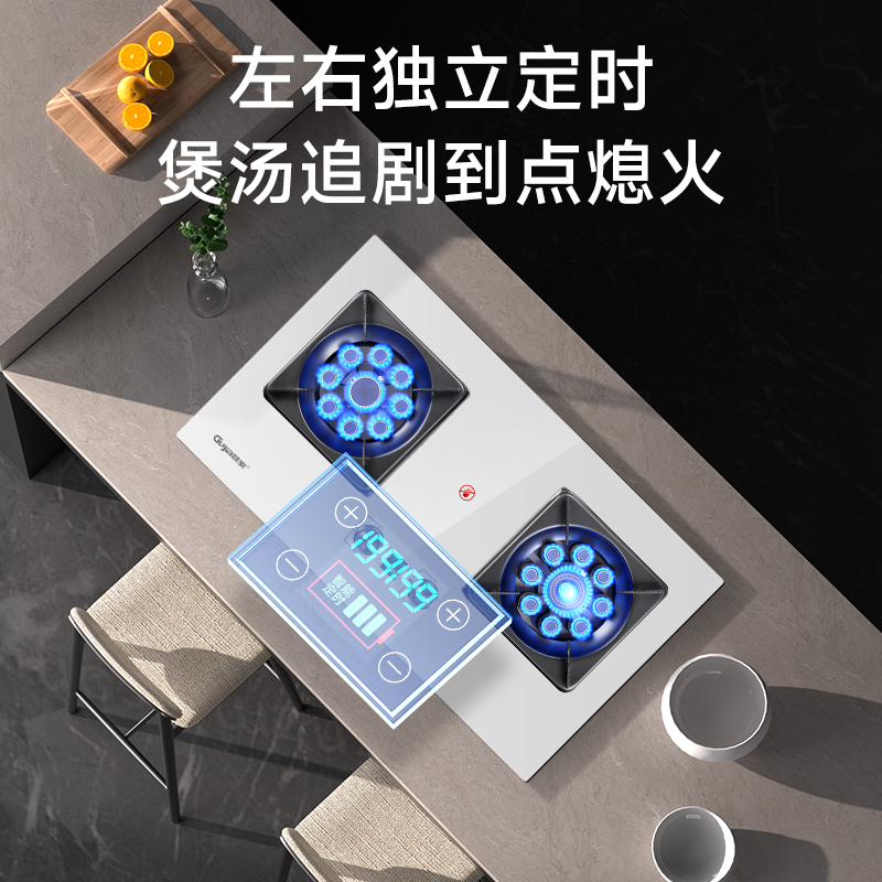 顾家白色燃气灶两用煤气灶台双灶天然气液化气猛火灶燃气灶（白）