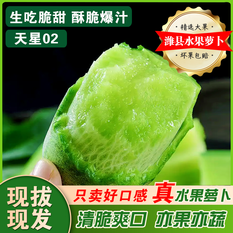 天星2号 水果萝卜山东潍坊水果萝卜去皮生吃清甜酥脆多汁现拔现发