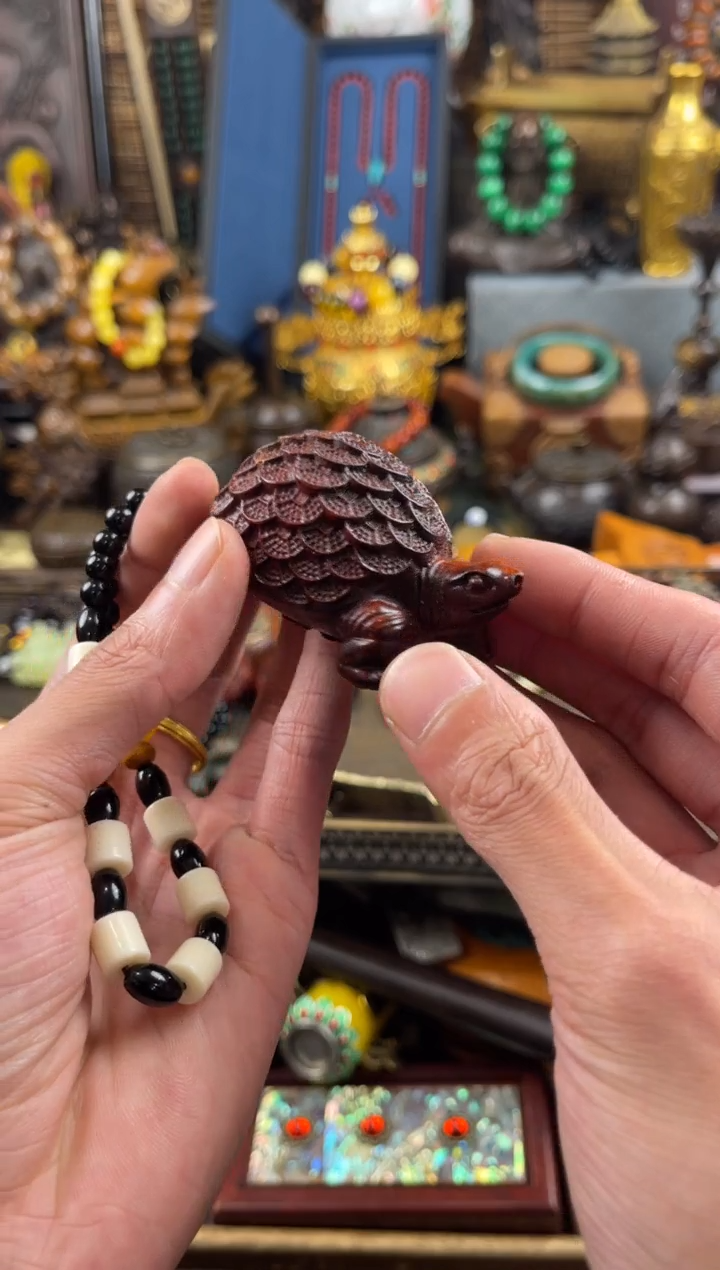 11小七甄选所见及所得