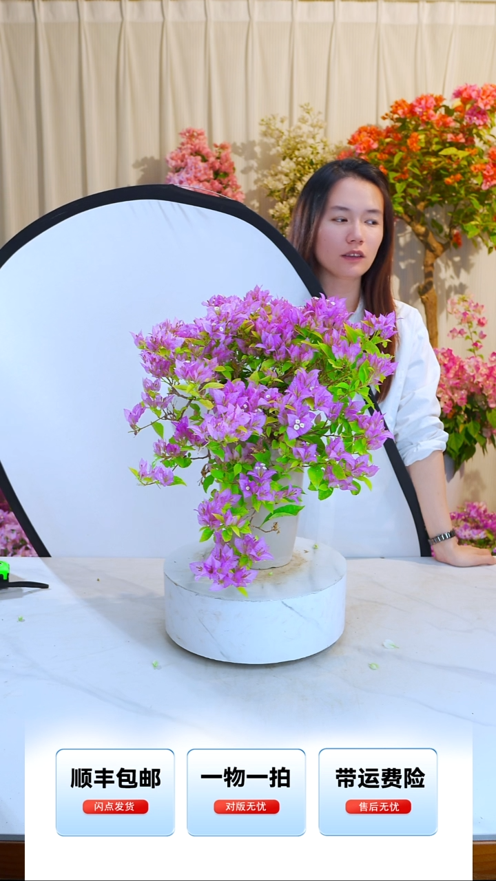 大部分开放少量花苞粉红豹