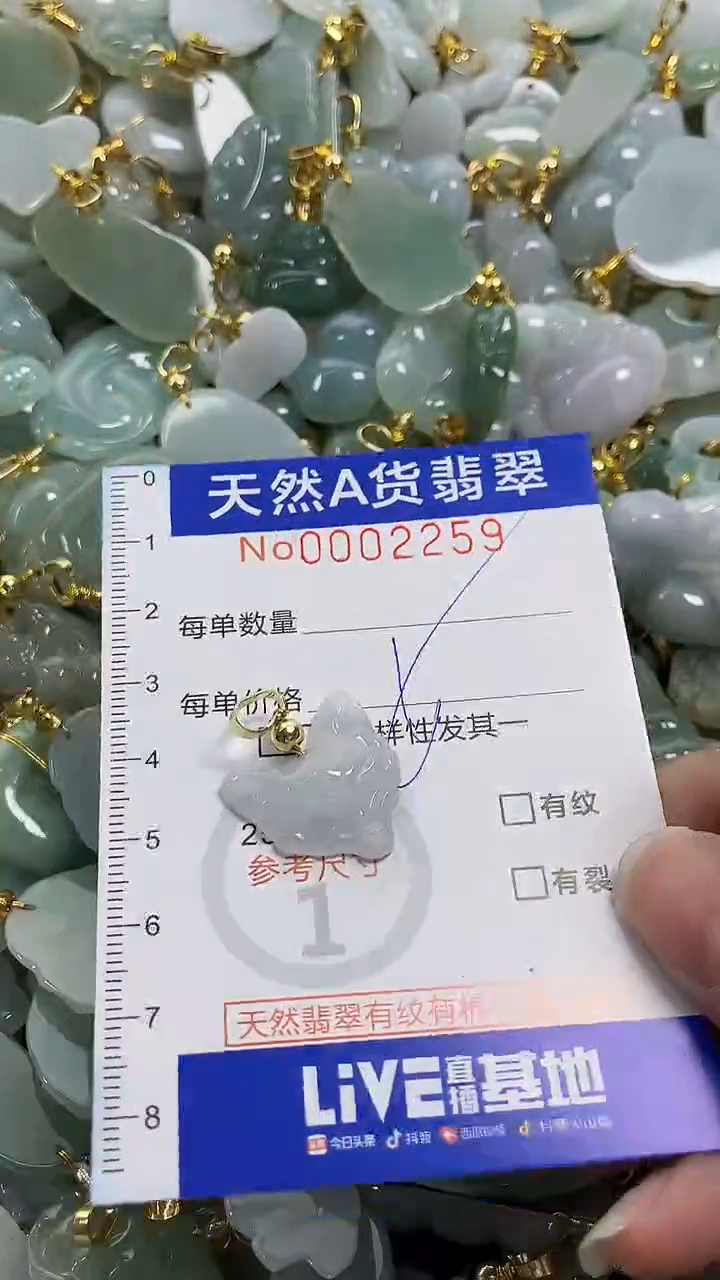 颈饰未镶嵌翡翠纯天然货a翡翠