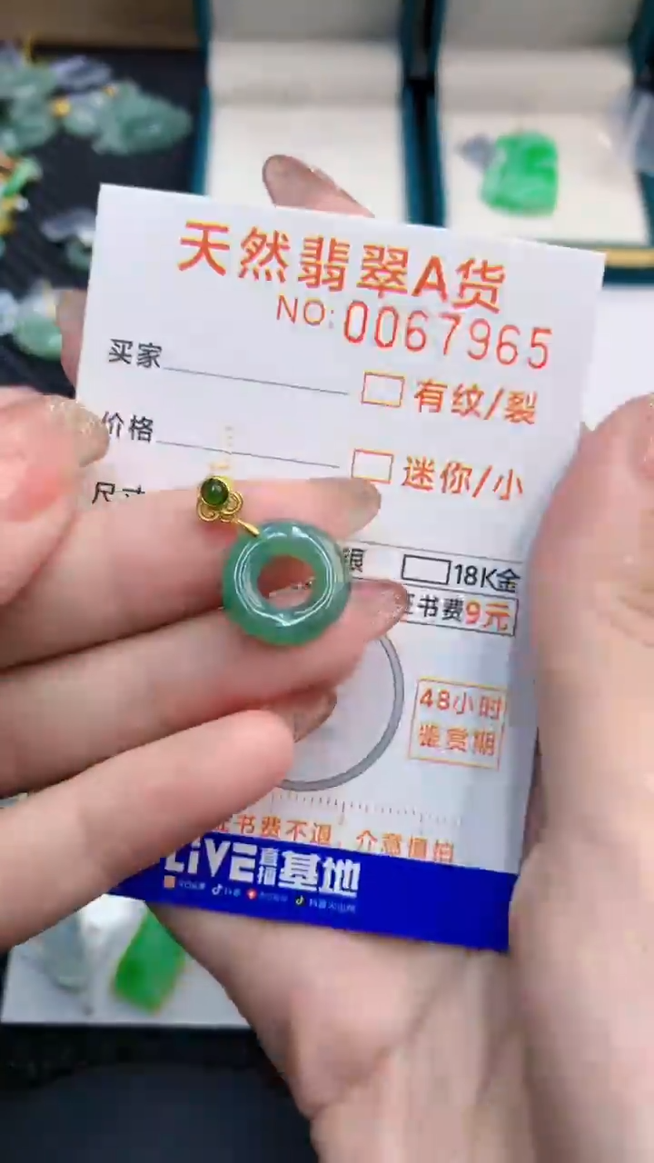 【闪购商品】翡翠银S925镶嵌颈饰            8