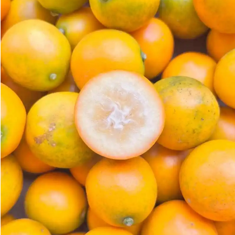 【整果】广西脆皮金桔12.8元/盒约500g