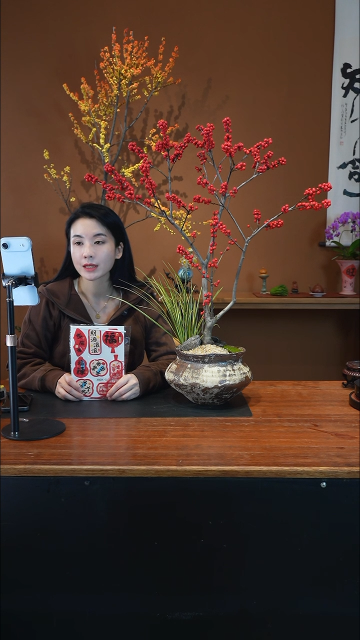 全部花朵大冬青量拍盆景盆景盆景