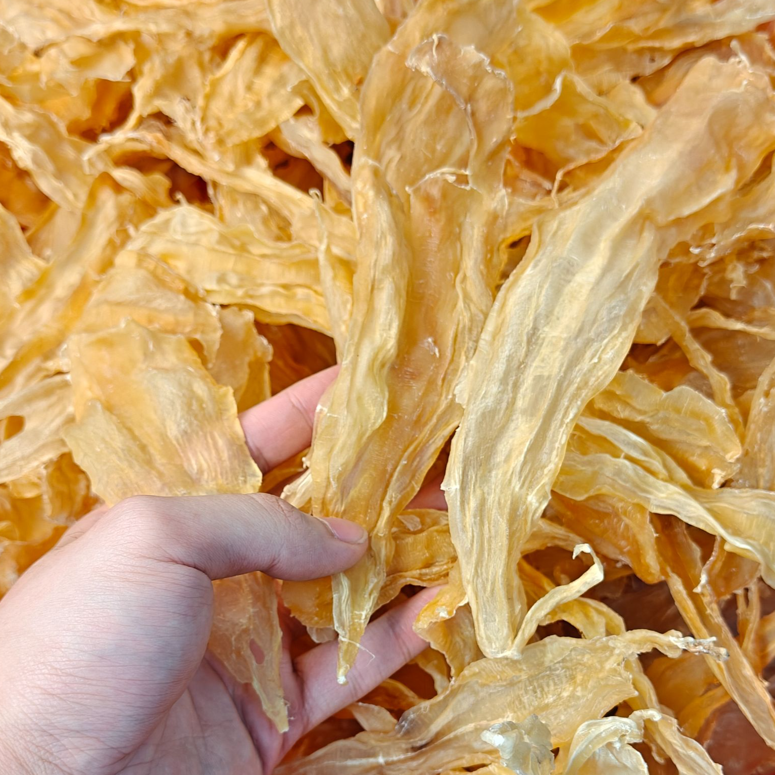 【赵麻麻精选】T150-155三捻公胶