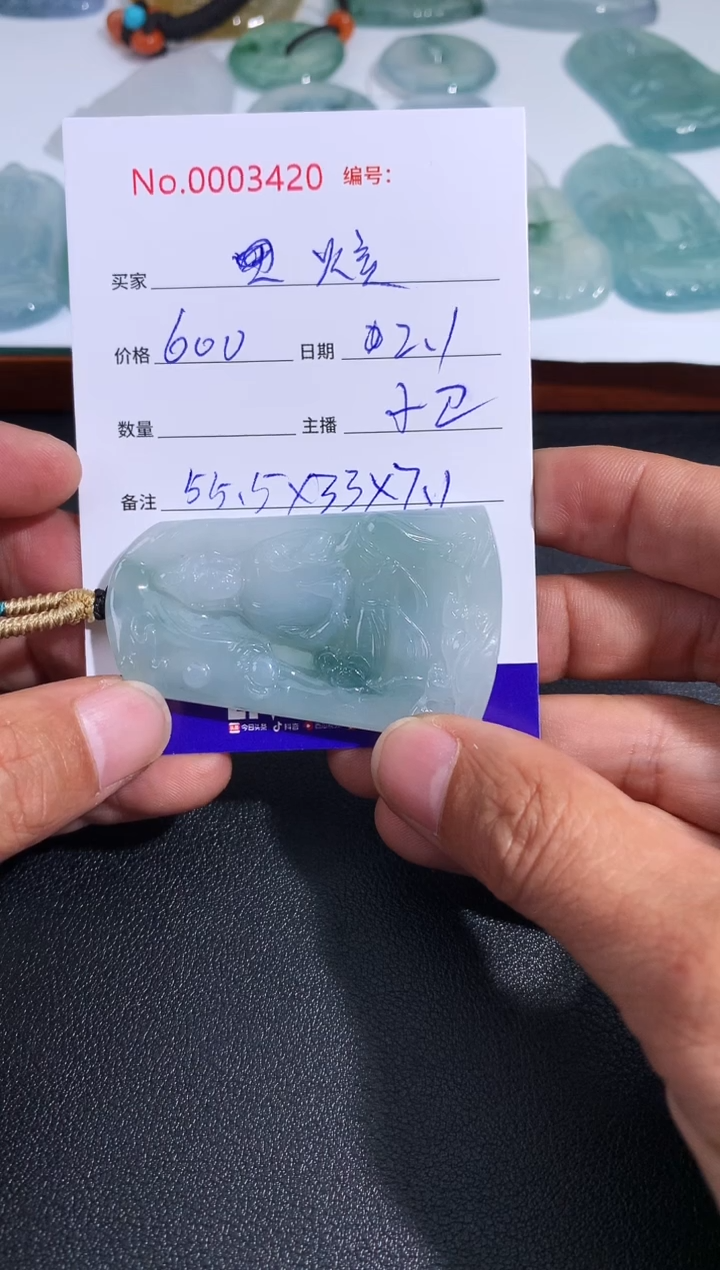 【闪购商品】翡翠颈饰未镶嵌炫