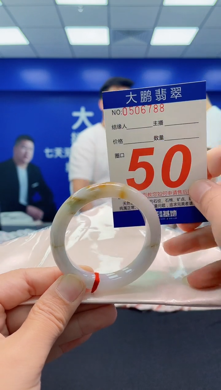 未镶嵌手镯翡翠AAAAAAAAA