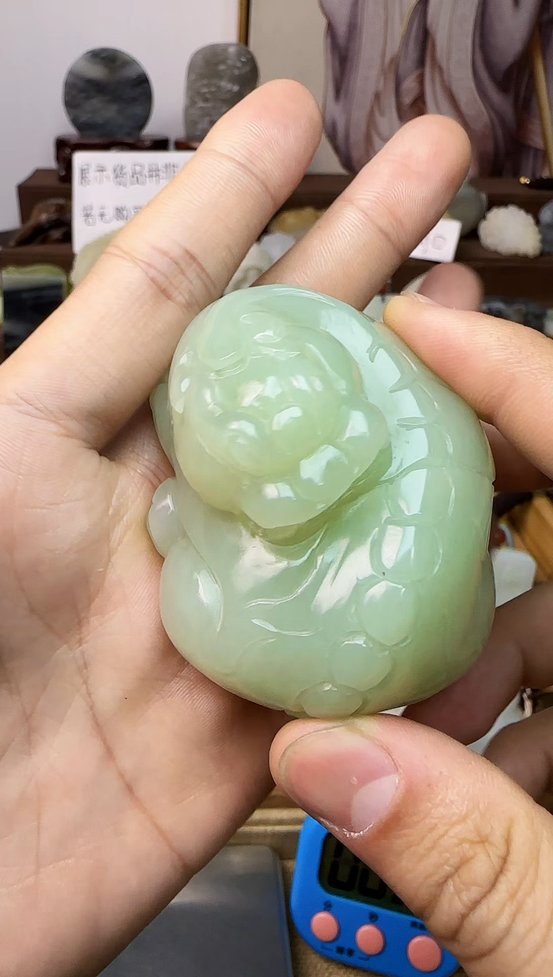 【闪购商品】和田玉颈饰未镶嵌把件