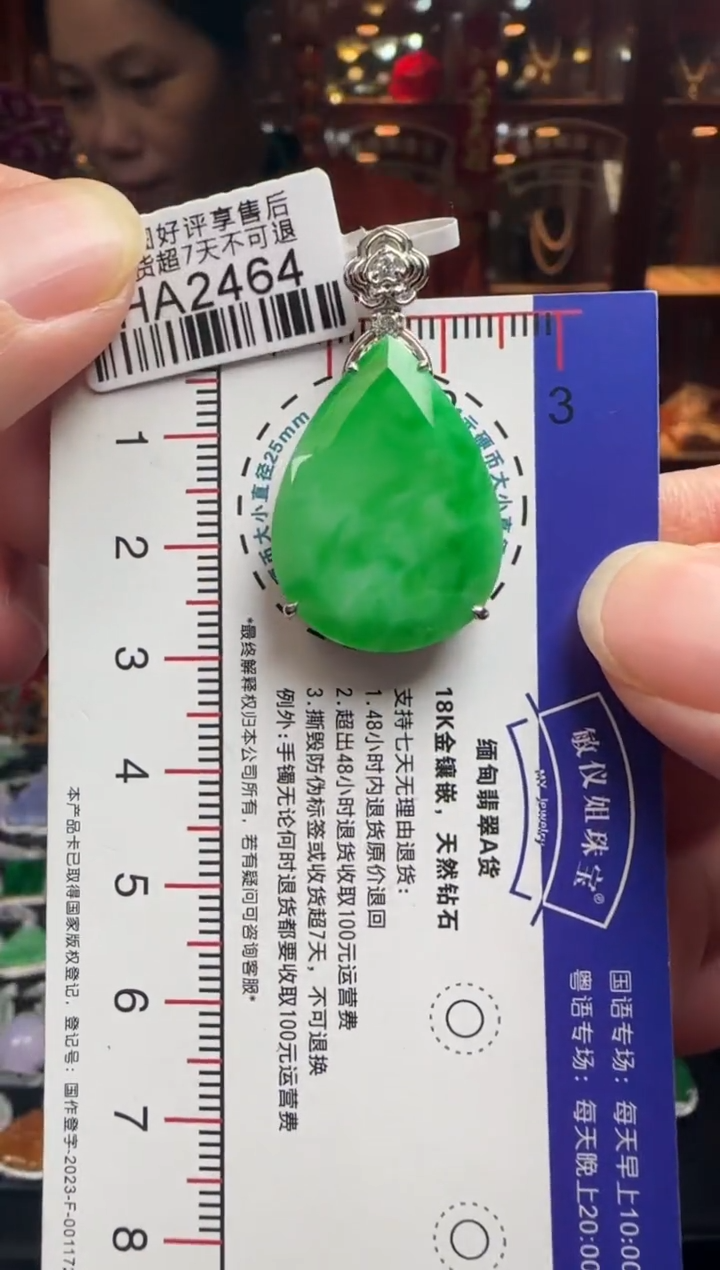 【闪购商品】翡翠颈饰18K金镶嵌HA2464 冰绿滴水