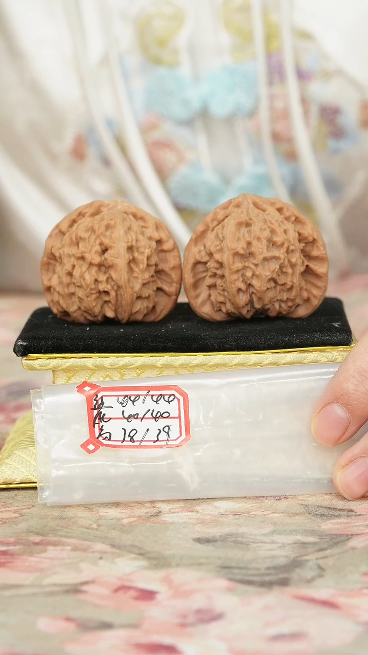 把件文玩核桃小*子白狮子微修