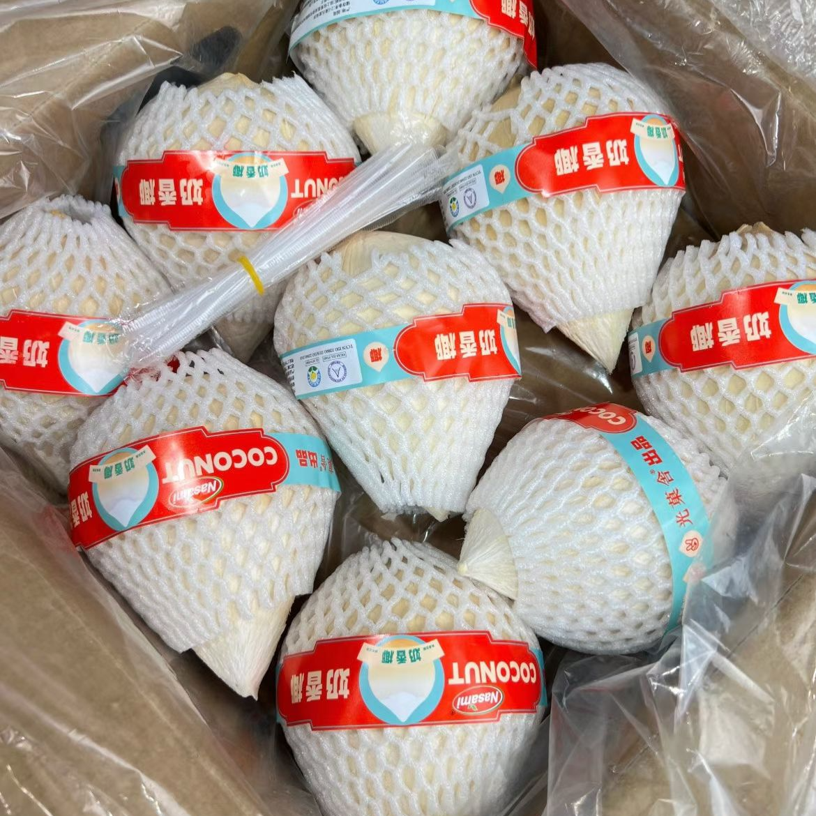 活动椰皇（9个/箱）