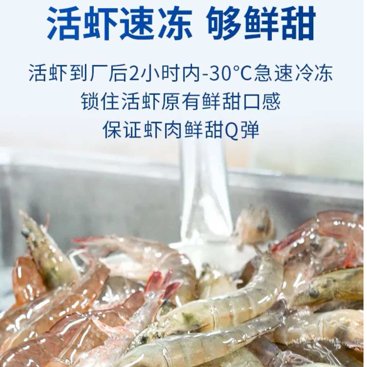 活冻白对虾洁净虾线鲜冻大虾