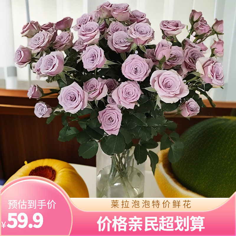 【莱拉泡泡】沈阳晓全花行东北鲜花紫色泡泡紫色多头玫瑰莱拉玫瑰